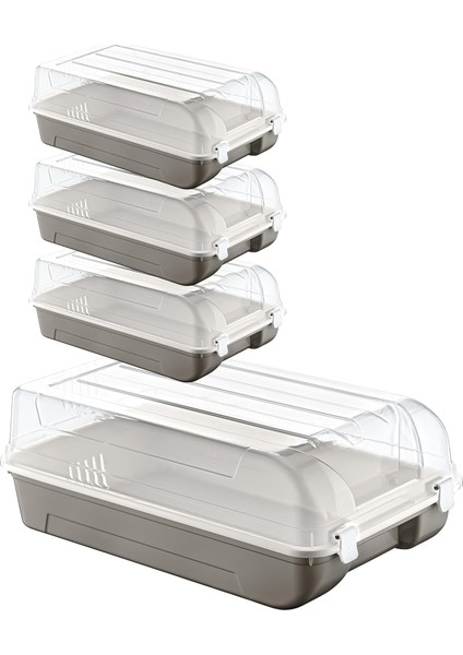 4'lü Set Erkek Terra Ayakkabı Kutusu