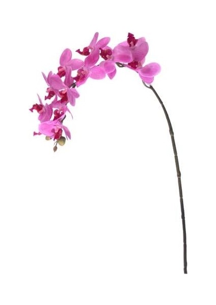 Flora Yapay Çiçek Orkide 57.5 cm