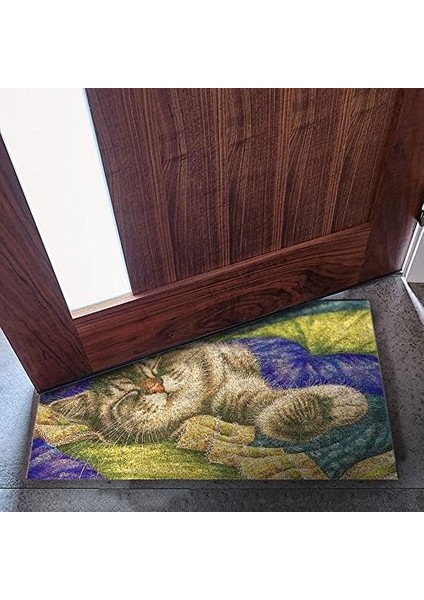 Tasarımlı Dekoratif Kapı Önü Paspas, Dış Mekan/ev Içi/ /mutfak/yatak Odası/giriş Paspasları (Pastel Cat, 45X70) modelleri