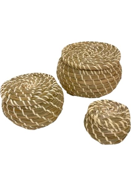 IKE-803.281.45 Fryken Kapaklı Sepet, Deniz Yosunu, Sahil Yulafı, 3'lü Set