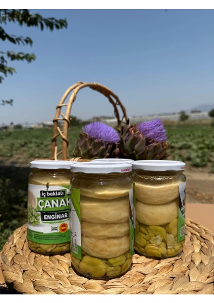 5'li Iç Baklalı Çanak Enginar Konservesi | 660CC fiyatları
