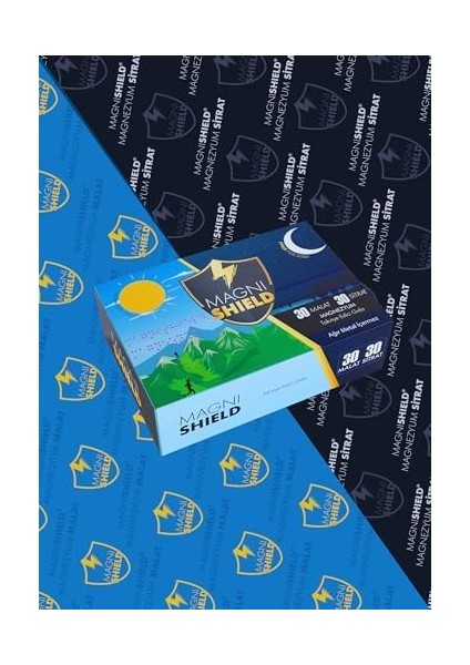 Magnishield Magnezyum Malat+Sitrat 250 Mg 60 Tablet