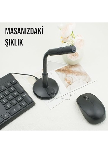 3,5mm Aux Girişli Pc Tablet Mikrofonu (Mc-7) fiyatları