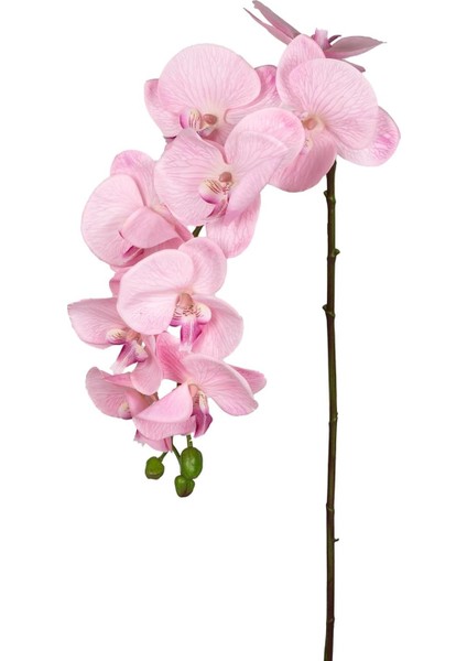 Yapay Orkide Gerçek Dokulu Pembe 95 Cm.