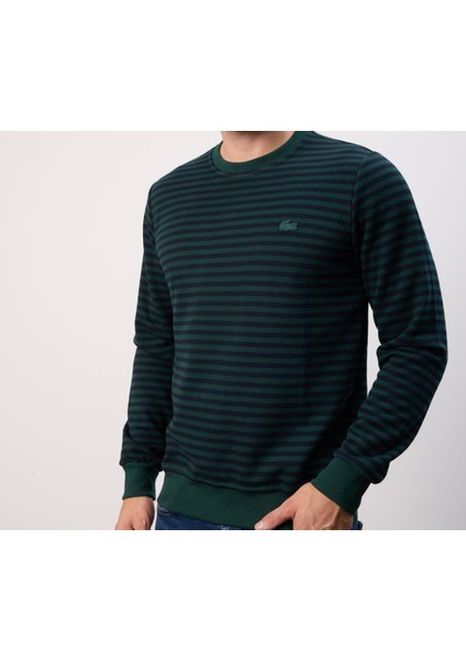 Bisiklet Yaka Çizgili Nefti Regular Fit Uzun Kol