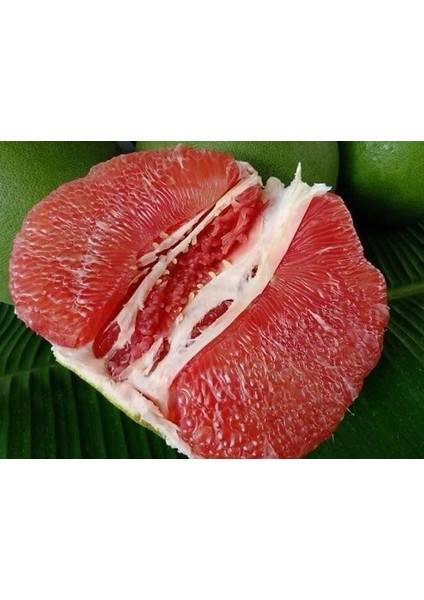 Ağaç Kavunu (Pomelo)