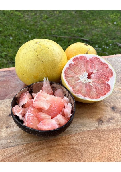 Ağaç Kavunu (Pomelo) modelleri