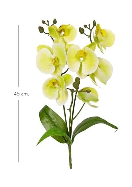 Yapay Orkide Gerçek Dokunuş Yeşil 45 Cm. modelleri