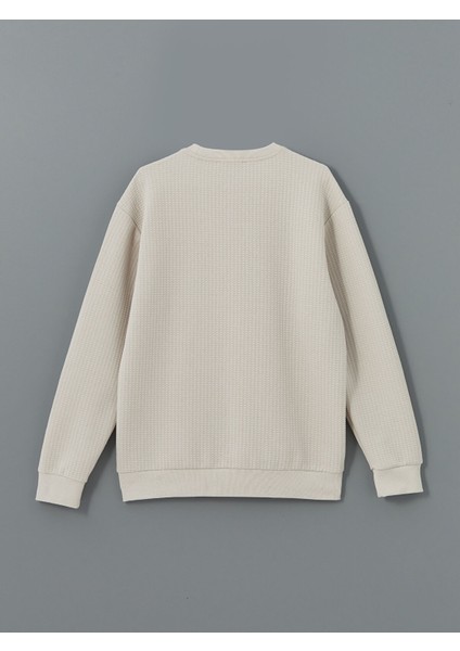 Yeni Sezon Bisiklet Yaka Uzun Kollu Erkek Sweatshirt fiyatları