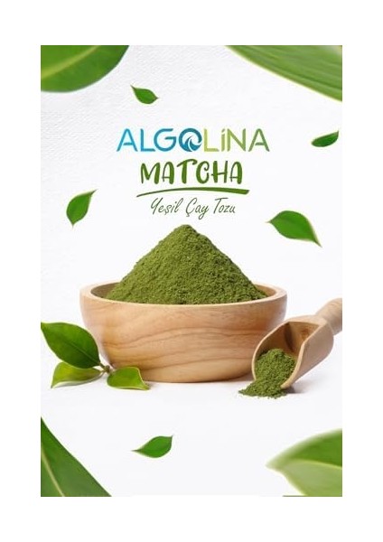 Algolina Matcha Çayı 30'lu Saşe (60 Gr) - Katkısız Maça Tozu fiyatları