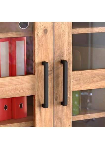 2 Cam Kapaklı Ceviz Dosya Dolabı fiyatları