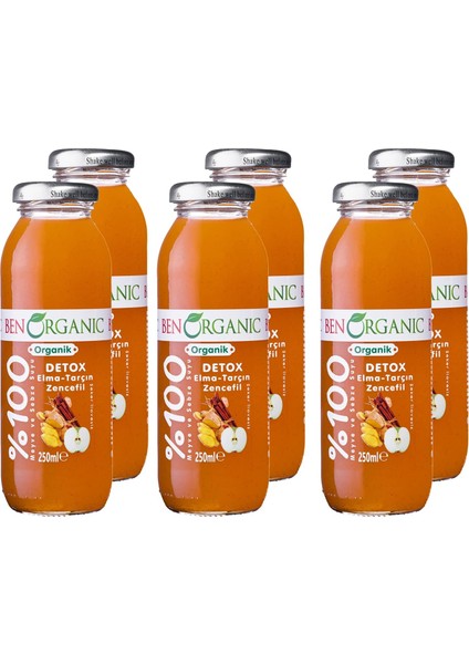 Benorganic Detox Elma Tarçın Zencefil Suyu 250 ml Cam Şişe