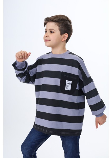 Erkek Çocuk Çizgili Sweatshirt fiyatları