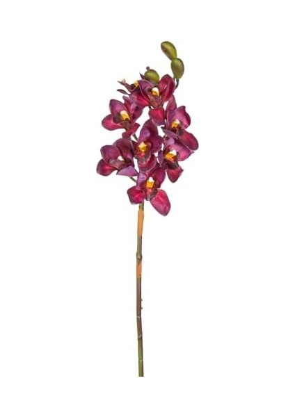 Yapay Orkide Gerçek Dokulu Bordo 75 Cm. modelleri
