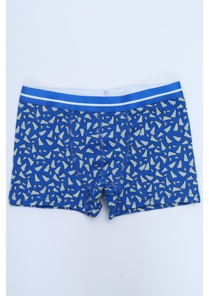 Erkek Çocuk Garni Dikişli 4lü Paket Boxer fiyatları