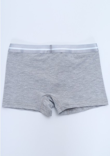 Erkek Çocuk Garni Dikişli 4lü Paket Boxer indirimleri