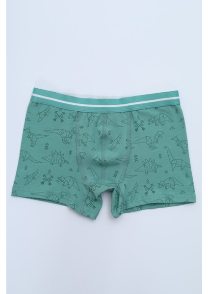 Erkek Çocuk Çok Desenli 4lü Paket Boxer fiyatları