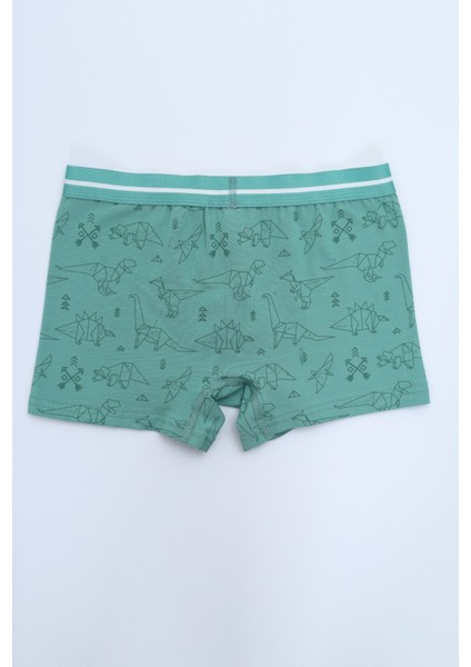 Erkek Çocuk Çok Desenli 4lü Paket Boxer modelleri