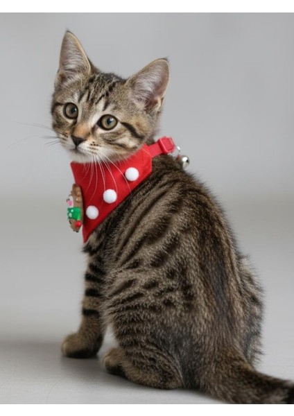 Christmas Squirrel Yılbaşı Kedi Bandanası | Ponponlu Kırmızı Noel Boyun Aksesuarı | Sevimli Sincap Figürlü Kedi Süsü indirimleri