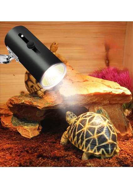 Terraryum Isıtma Lambası ve Armatürü - Tüm Sürüngen Türleri Için Sürüngen Isıtıcı Lamba ve Lambader Setleri | Terraryum Için Uva Uvb Güneşlenme Lambaları(Lamba Hediyeli) fırsatları