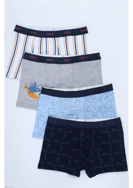 Erkek Çocuk Çok Desenli 4lü Paket Boxer