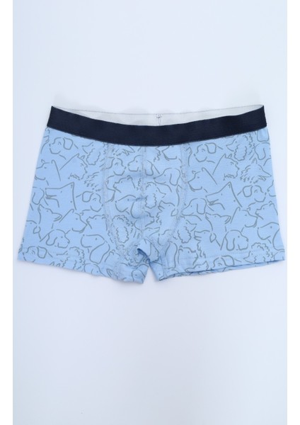 Erkek Çocuk Çok Desenli 4lü Paket Boxer fiyatları