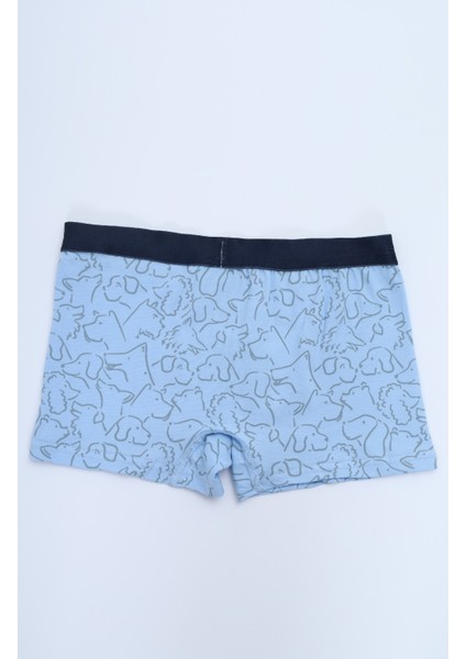 Erkek Çocuk Çok Desenli 4lü Paket Boxer modelleri
