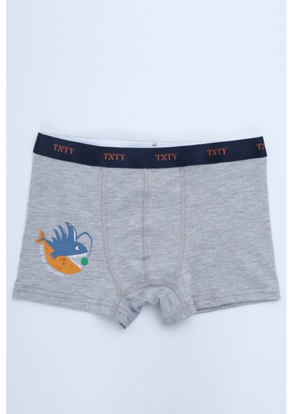 Erkek Çocuk Çok Desenli 4lü Paket Boxer fırsatları