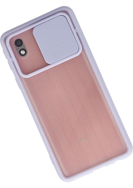 Samsung Galaxy A01 Core Kılıf Palm Buzlu Kamera Sürgülü Silikon - Lila fiyatları