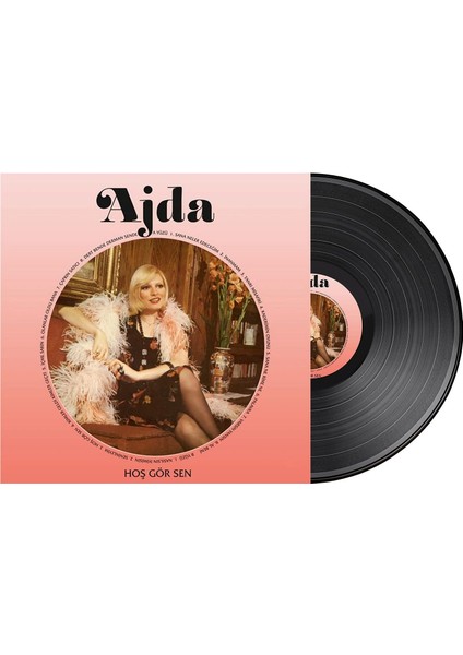 Elektronik Ajda Pekkan-Hoşgörsen Lp Plak
