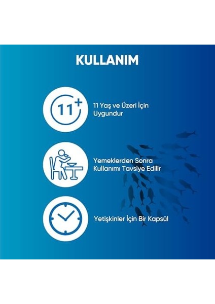 Voop Omega 3 Balık Yağı | Yüksek Epa & Dha - 500 Mg 60 Kapsül modelleri