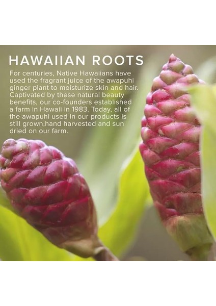 Awapuhi Wild Ginger Paul Mitchell Awg Hydromist Blow-Out Fön Spreyi 150 ml modelleri