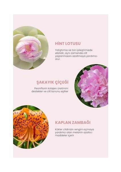 Deoproce Beyazlatıcı ve Işıltı Artırıcı White Flower Bb Krem 30 Mililitre No:23 fiyatları