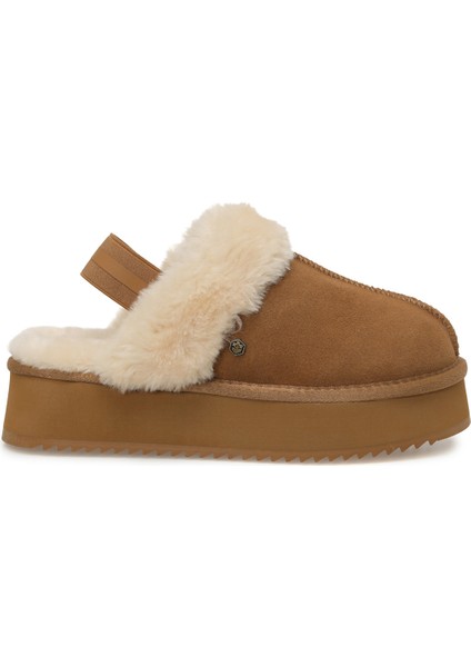 Golda 5pr Camel. Kadın Terlik