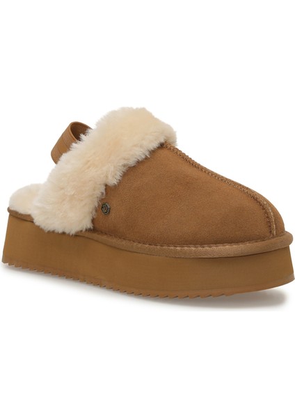 Golda 5pr Camel. Kadın Terlik fiyatları