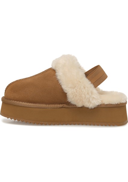 Golda 5pr Camel. Kadın Terlik modelleri