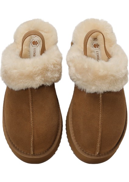 Golda 5pr Camel. Kadın Terlik fırsatları