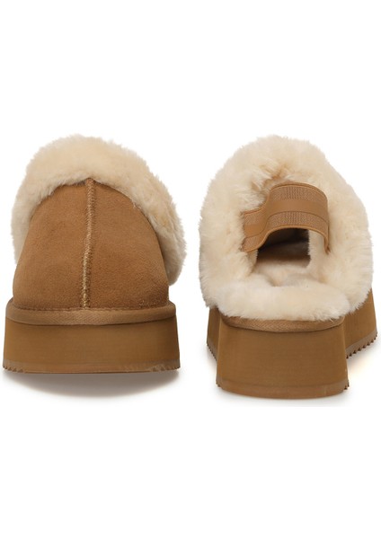 Golda 5pr Camel. Kadın Terlik indirimleri