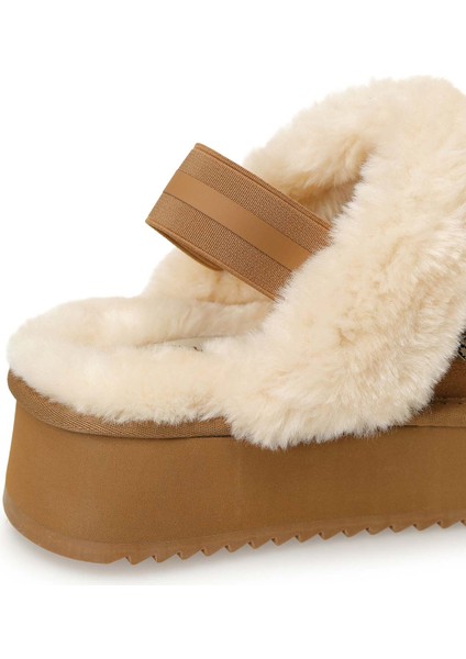 Golda 5pr Camel. Kadın Terlik