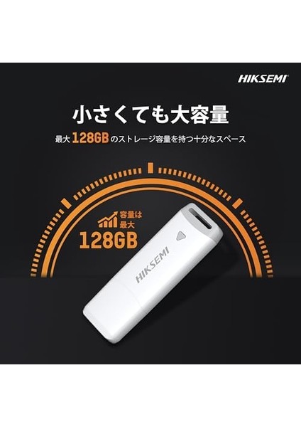 HS-USB-M220P 128G U3 Bellek modelleri