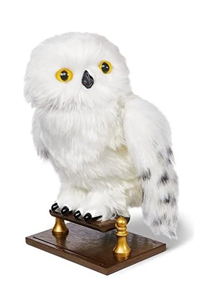 World Interaktif Hedwig fiyatları