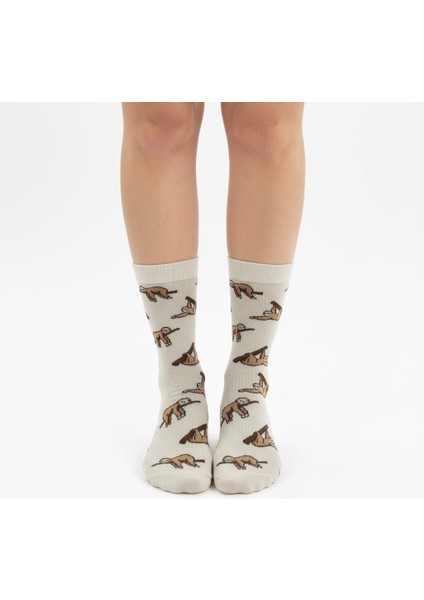 Sloth Socks – Desenli Unisex Soket Çorap modelleri