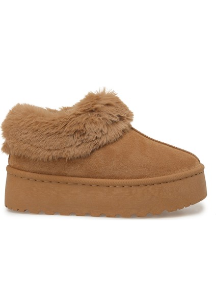 25K-8140 5pr Taba Kadın Terlik