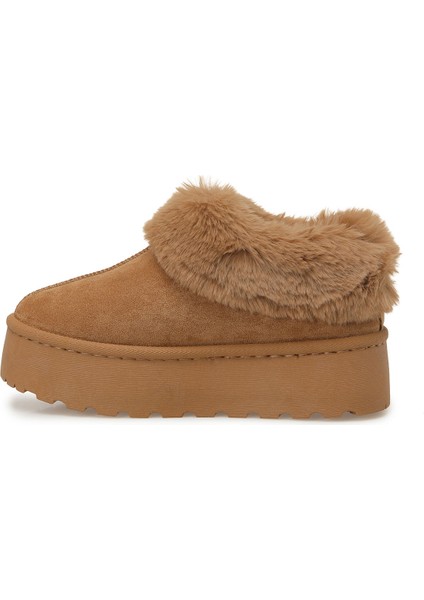 25K-8140 5pr Taba Kadın Terlik modelleri