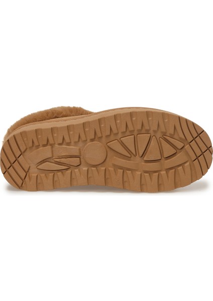 25K-8140 5pr Taba Kadın Terlik