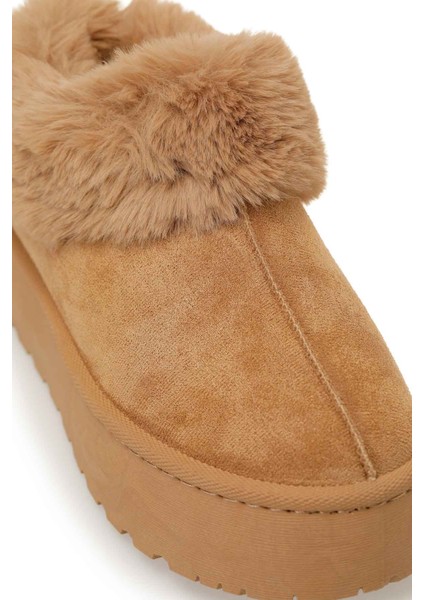 25K-8140 5pr Taba Kadın Terlik