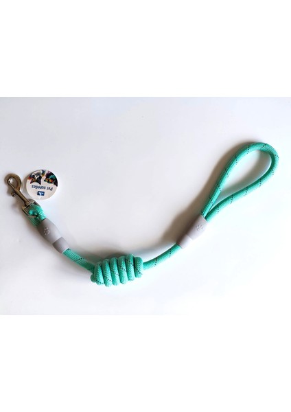 Evcil Hayvan Köpek Fitil Gezdirme