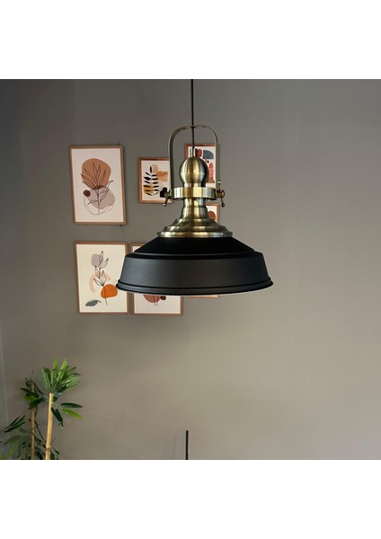 Carmelo Siyah Renk Asaletli Tekli Avize Eskitme Başlık Sarkıt Lamba Salon Aydınlatma