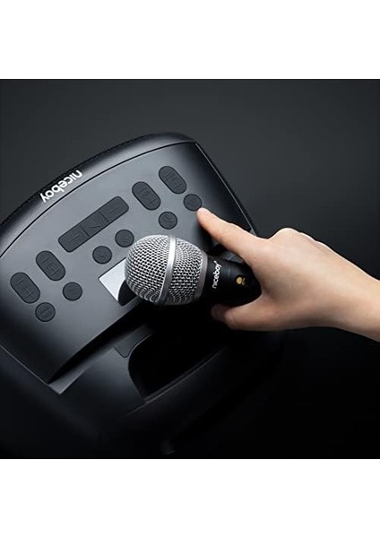 Party Boy 2 100W Kablosuz Mikrofonlu Ipx4 Taşınabilir Parti Hoparlörü fiyatları