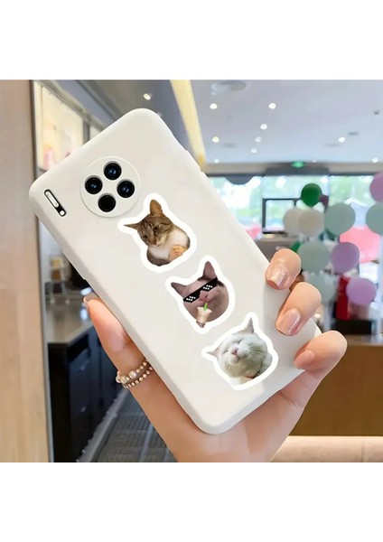 500 Adet Rulo Vinil Kedi Sticker Etiket fırsatları